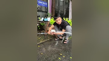 Hướng dẫn sử dụng bơm tăng áp Rymaru, bơm dùng 1 thiết bị bảo hành 12 tháng - Thinksafe