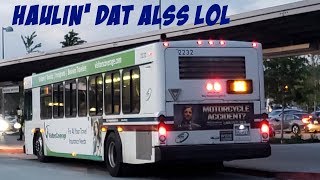 [It Stay Hauling Ass! 🚌💨] VTA Gillig Low Floor 2232 on 181