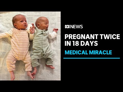 Pregnant twice, weeks apart, with babies with different due dates | ABC News