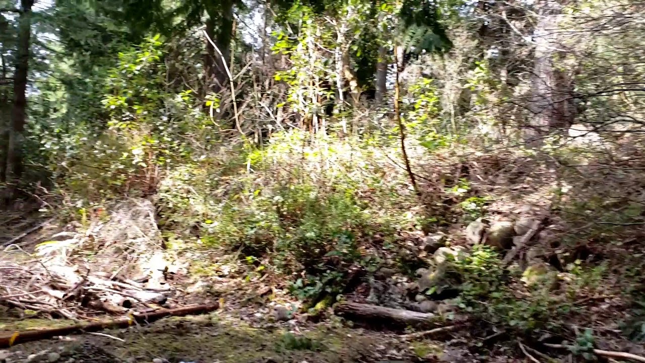 Yelm land for sale YouTube