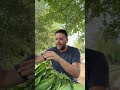 ho trovato il socio per la mia azienda agricola?