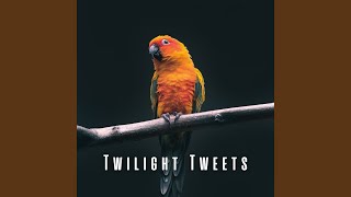 Twilight Whispers