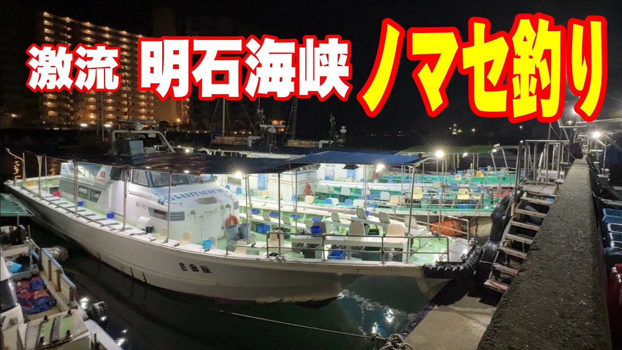 《兵庫・名田屋》【潜入！大阪湾】明石海峡のブリ飲ませ釣り025 11 10