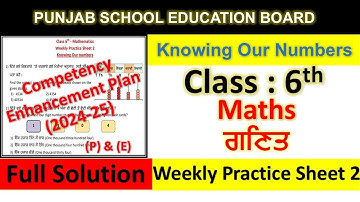 pseb competency based paper class 6th maths worksheet 2 test 2024