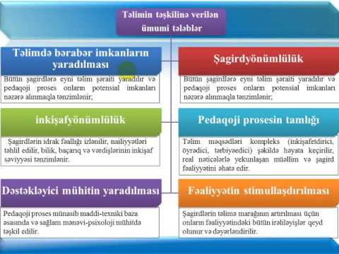 Video: Kainatın əsas strukturları hansılardır?