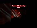 Disease of the Dancing Cats - BUSH LIVE