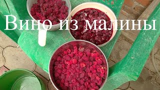 Малиновое вино,как сделать вино из малины,рецепт от А до Я.