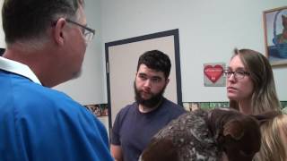 Services at Hillman Vet Clinic