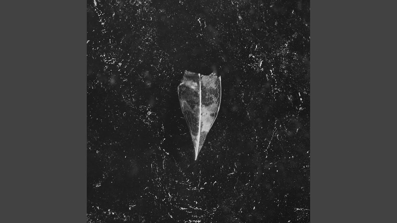 Watch Excavation on YouTube Watch Excavation on YouTube