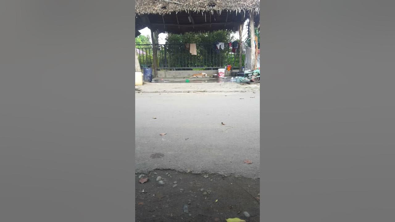 Kupik - YouTube