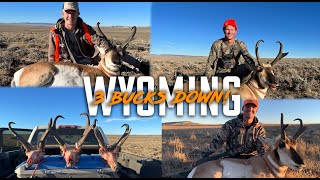 Wyoming Antelope Hunt (3 bucks | 24 Hours)