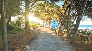 『Pokémon GO』の新シーズンには、新たな冒険が待っています…#ポケモンGO