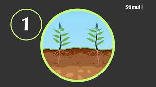 Ergofito Fertilizer Technology