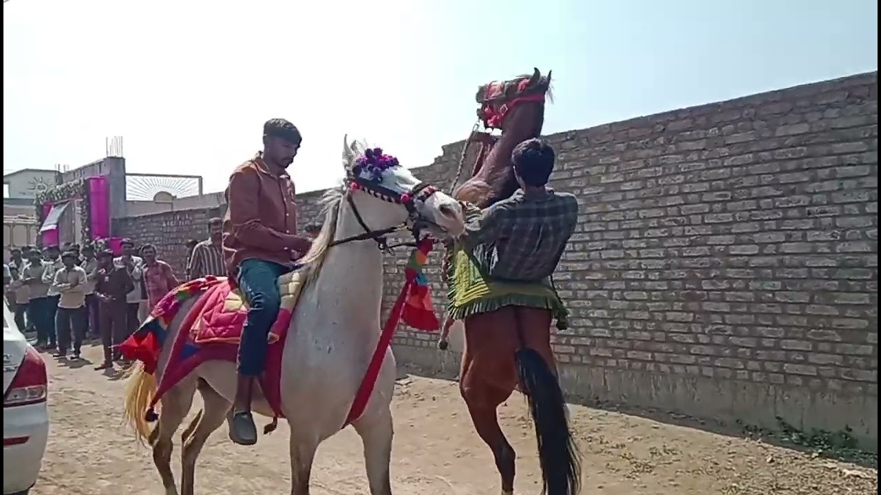 Garamli Gam nu Toran Ghoda Ni Ramjat #Vlog 