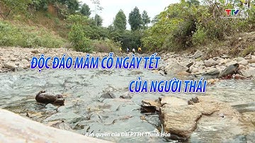 Ký sự miền sơn cước: Độc đáo mâm cỗ ngày Tết của người Thái