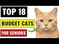 18 Best Cat Breeds For Seniors on a Budget — #1 Will Make You Cry