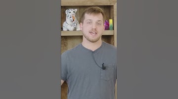 Common Core Standards #school #education #neurodiverse #neurodiversity #learning #commoncore #goally