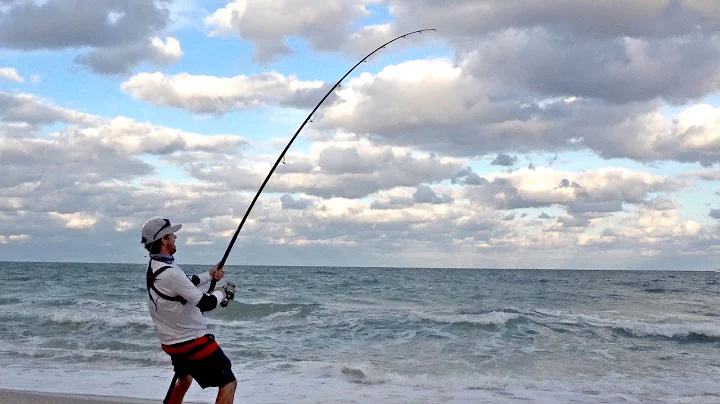Beach Shark Fishing Struggle, Finally Caught a Break!