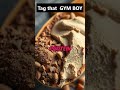 💪 Tag a friend || Guilt-Free Chocolate Protein Smoothie! 🍫🥤 Healthy & Delicious! #gymexercise #gym