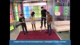 джамперы