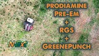 Prodiamine PreEmergent+RGS+GreenePunch App // NExt DIY Lawn Care Tips