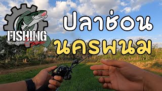 EP14 : สุขสันต์วันกลับบ้าน (ปลาช่อนนครพนม)