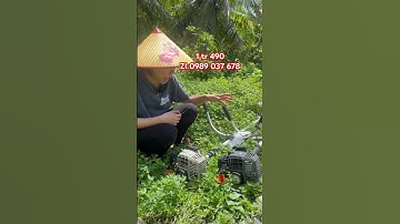 Máy cắt cỏ Nhật Bãi Echo quá đẹp