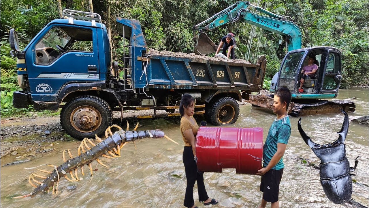 FULL VIDEO: Excavator leveling,lumber truck,Carrying steel for the girl to build a floating house.