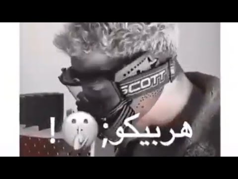 حالات واتس مهرجان مسلم الجديد دمار ساكت وصابر انا علشان هربيكو