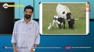 KITE VICTERS Plus Two Botany Class 42 (First Bell-ഫസ്റ്റ് ബെല്‍)