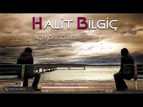 Halit Bilgiç - Ağla Deli Gönlüm ( 2021 ) YENİ