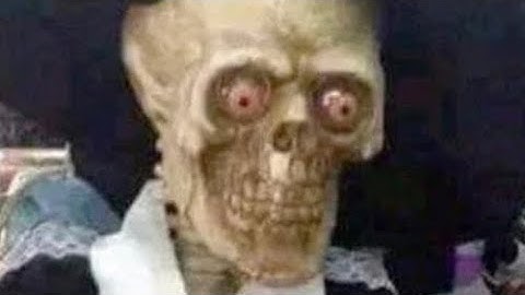 Bug Fables Part 2: Frustration.