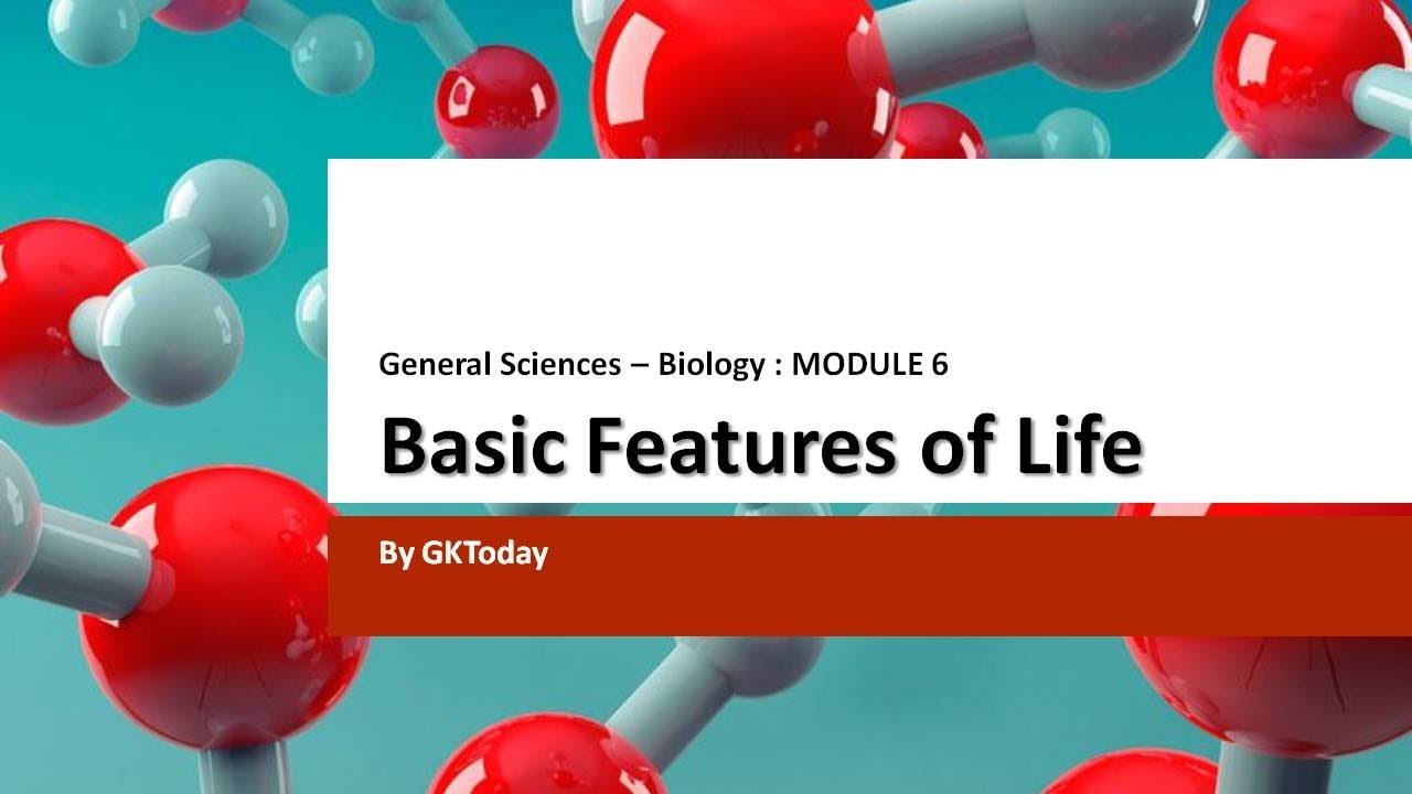 Biology 6 Basic Features Of Life YouTube