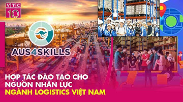 Hợp tác đào tạo nguồn nhân lực ngành Logistics tại Việt Nam | VNTG | VTC10
