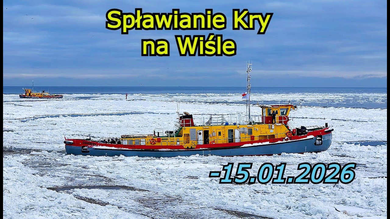 Jak wygląda sytuacja na Ujściu Wisły -15.01.2026
