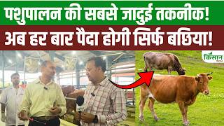 A lottery for livestock farmers! Now only female calves will be born. What are sex-sorted semen and embryo transfer?