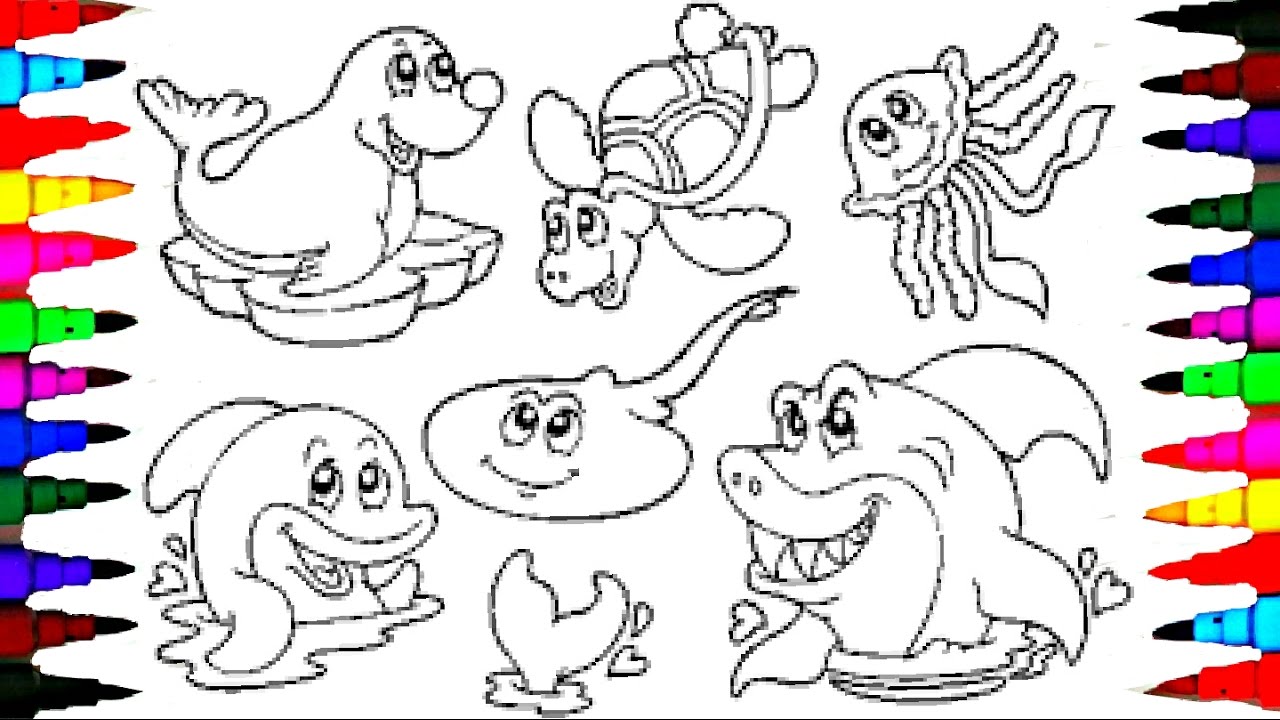 Coloring Pages Sea Animals Coloring Book Videos For Children Learning Rainbow Colors Seals