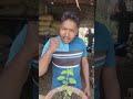 Jis tarh budha ugate hai