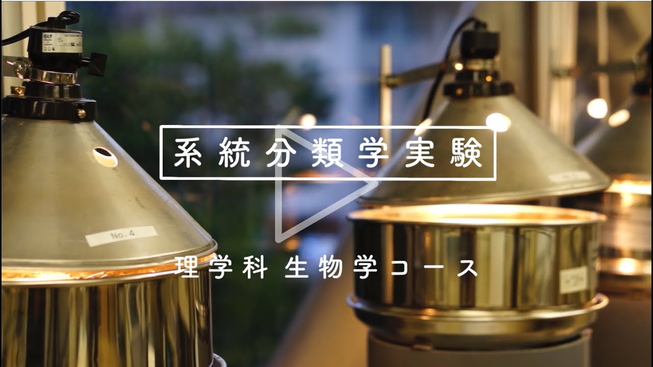 系統分類学実験 理学科 生物学コース のご紹介 信州大学理学部 Youtube