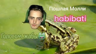 пошлая молли-habibati ГОЛОСОМ ЖАБЫ