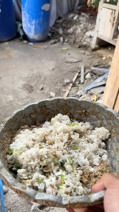 'Come here,' said the chicken farmer.