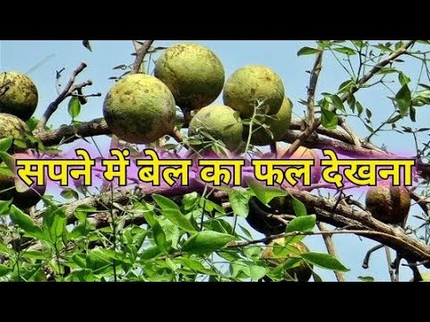 वीडियो: बेलेकी में क्या देखना है