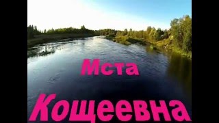 Мста и её родственники