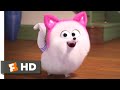The secret life of pets 2  cat lessons scene 410  movieclips