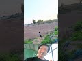 RUN #trolllife #youtubeshorts #viral #funny #memes #laugher #running #shorts #prank #love #troll