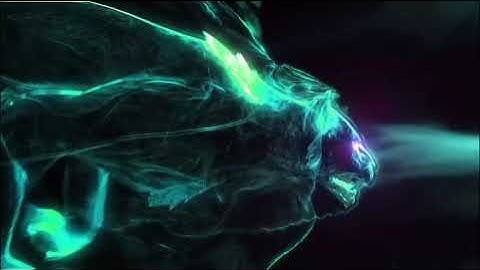 😱😱😱😱😱🤨Running panther intro no logo no text