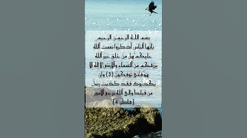 مقاطع قصيرة من القرآن الكريم سورة فاطر #القرآن_الكريم #القرآن #تلاوة_خاشعة #لايك