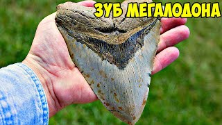 МЕГАЛОДОН Миф или Реальность