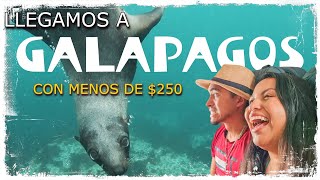 EVERYTHING you need to know to go to GALAPAGOS🔴 How much does it cost? What to do? Where to eat?