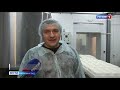 В Калининградской области наладили производство сыра с благородной плесенью